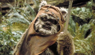 Illustration for article titled Why Ewoks are the Most Realistic Aliens in Star Wars